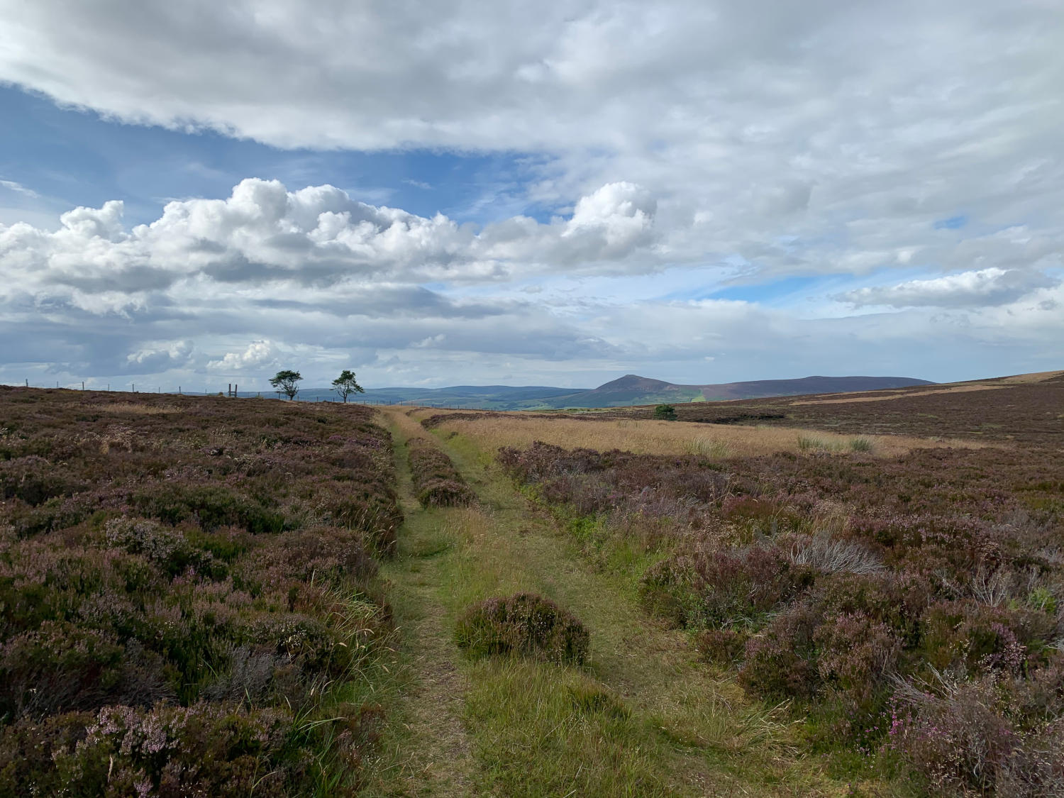 Tap O Noth in the distance